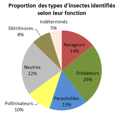 Graphique proportion des types d'insectes