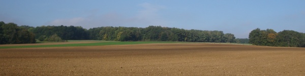 vente de terres dans la Marne