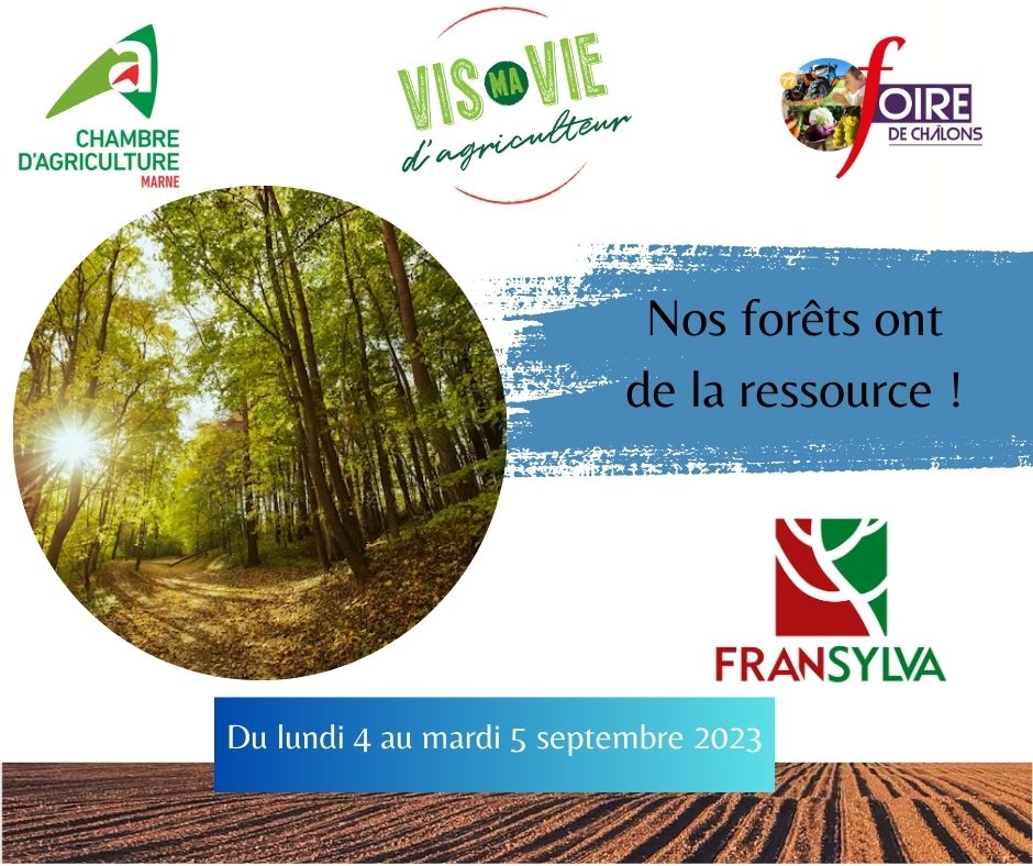 Nos forêts ont de la ressource !