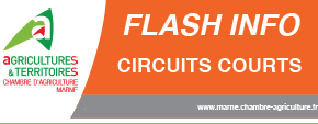 Flash info circuits courts