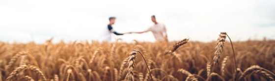 Relations humaines en agriculture