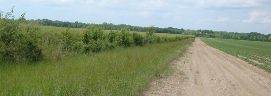 chemin rural